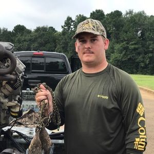 Meet your Posher, Kasey